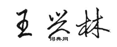 駱恆光王興林行書個性簽名怎么寫