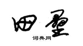 朱錫榮田壘草書個性簽名怎么寫