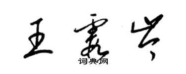 梁錦英王霞岑草書個性簽名怎么寫