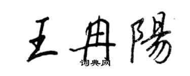 王正良王冉陽行書個性簽名怎么寫