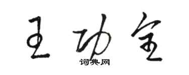 駱恆光王功全草書個性簽名怎么寫