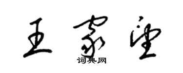 梁錦英王家望草書個性簽名怎么寫