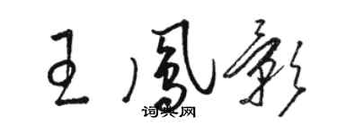 駱恆光王鳳影草書個性簽名怎么寫