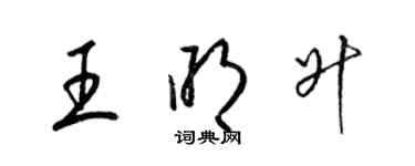 梁錦英王明升草書個性簽名怎么寫