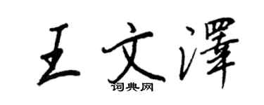 王正良王文澤行書個性簽名怎么寫