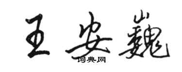 駱恆光王安巍行書個性簽名怎么寫