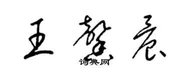 梁錦英王馨晨草書個性簽名怎么寫