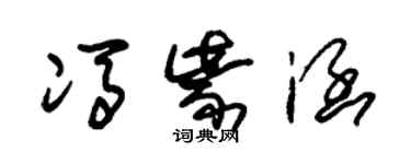 朱錫榮馮紫涵草書個性簽名怎么寫