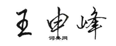 駱恆光王申峰行書個性簽名怎么寫