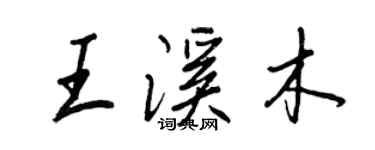 王正良王溪木行書個性簽名怎么寫