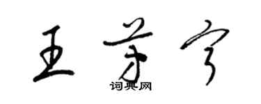 梁錦英王芳寧草書個性簽名怎么寫