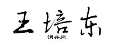 曾慶福王培東行書個性簽名怎么寫