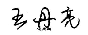 朱錫榮王丹亮草書個性簽名怎么寫