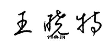 梁錦英王曉特草書個性簽名怎么寫