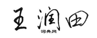駱恆光王潤田行書個性簽名怎么寫
