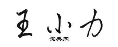 駱恆光王小力行書個性簽名怎么寫