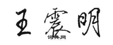 駱恆光王震明行書個性簽名怎么寫