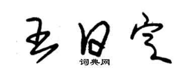 朱錫榮王日定草書個性簽名怎么寫