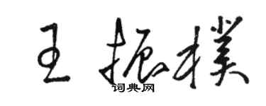 駱恆光王振朴草書個性簽名怎么寫