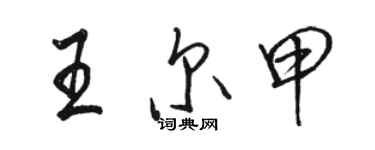 駱恆光王爾甲行書個性簽名怎么寫