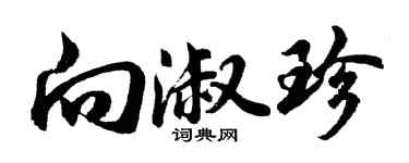 胡問遂向淑珍行書個性簽名怎么寫