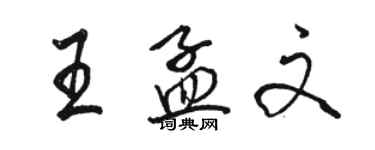 駱恆光王孟文行書個性簽名怎么寫