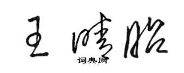 駱恆光王晴昭草書個性簽名怎么寫