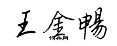 王正良王金暢行書個性簽名怎么寫