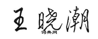 駱恆光王曉潮行書個性簽名怎么寫