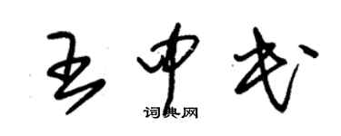 朱錫榮王中民草書個性簽名怎么寫