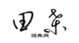 梁錦英田桑草書個性簽名怎么寫