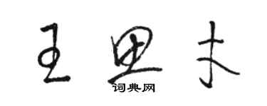 駱恆光王思才草書個性簽名怎么寫