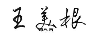 駱恆光王美根行書個性簽名怎么寫