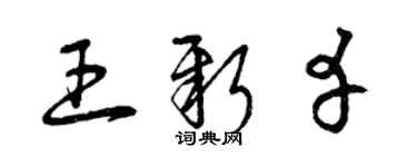 曾慶福王新幸草書個性簽名怎么寫