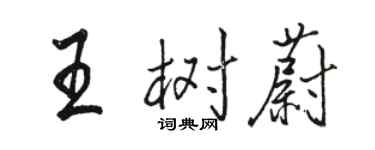 駱恆光王樹蔚行書個性簽名怎么寫