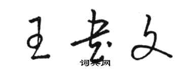 駱恆光王書文草書個性簽名怎么寫