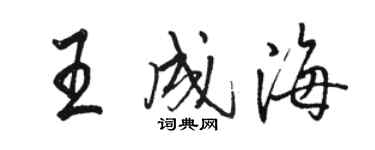 駱恆光王成海行書個性簽名怎么寫
