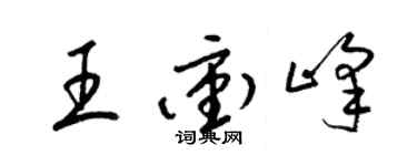 梁錦英王沖峰草書個性簽名怎么寫