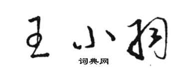 駱恆光王小羽草書個性簽名怎么寫