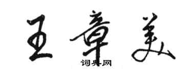 駱恆光王章美行書個性簽名怎么寫