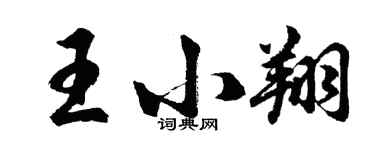 胡問遂王小翔行書個性簽名怎么寫