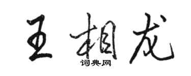 駱恆光王相龍行書個性簽名怎么寫