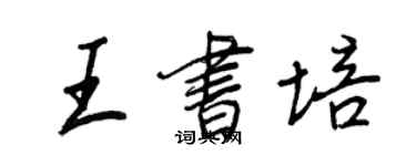 王正良王書培行書個性簽名怎么寫