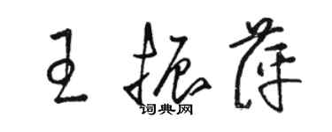 駱恆光王振萍草書個性簽名怎么寫