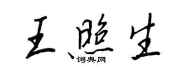 王正良王照生行書個性簽名怎么寫