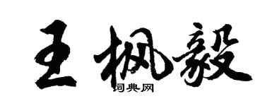 胡問遂王楓毅行書個性簽名怎么寫