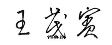 駱恆光王茂賓草書個性簽名怎么寫