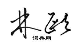 駱恆光林歐草書個性簽名怎么寫