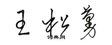 駱恆光王松蔓草書個性簽名怎么寫