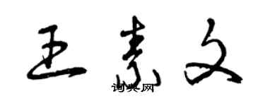 曾慶福王素文草書個性簽名怎么寫